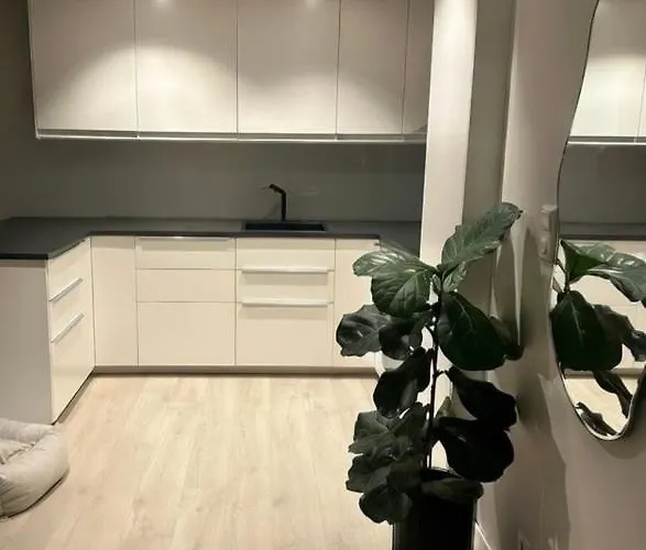 Stor Og Moderne Ved Rastolen Bybanestopp アパート ベルゲン